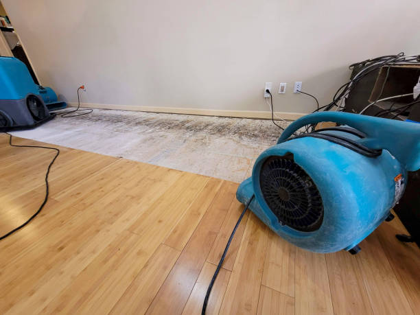 Reliable Basement Flood Cleanup contractor in McHenry, IL by Hirex Water Damage