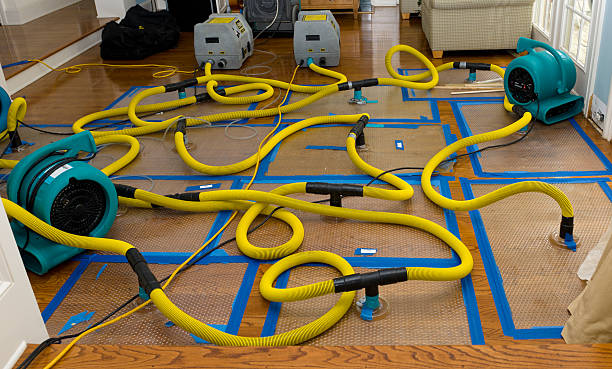 Professional Basement Flood Cleanup technician working in McHenry, IL